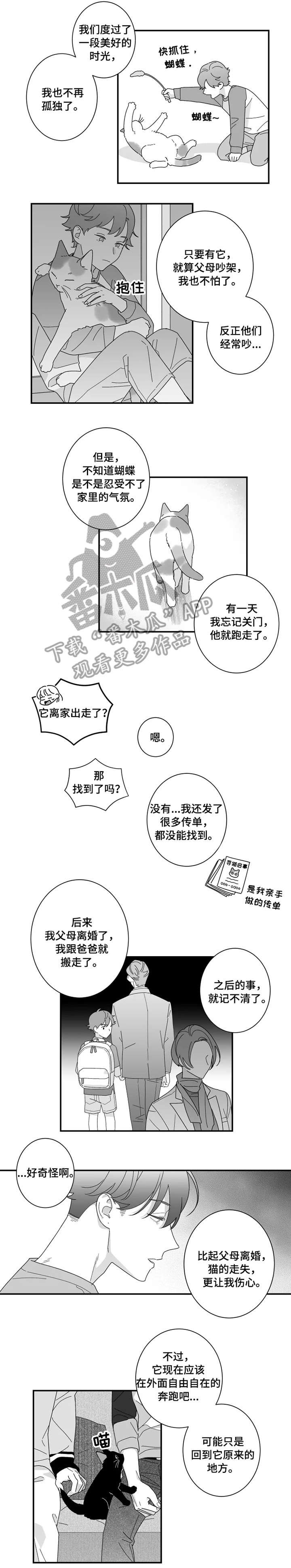 第16章：猫咪