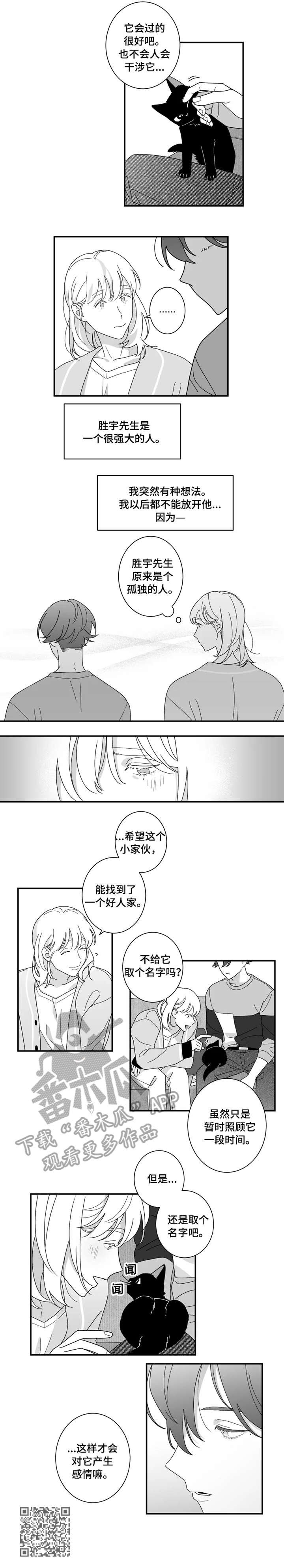 第16章：猫咪