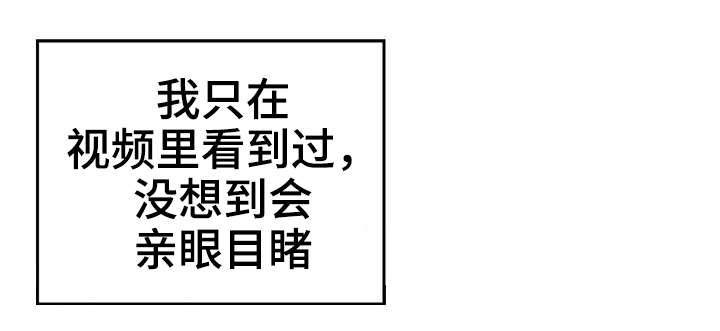 第4章：第三次面谈