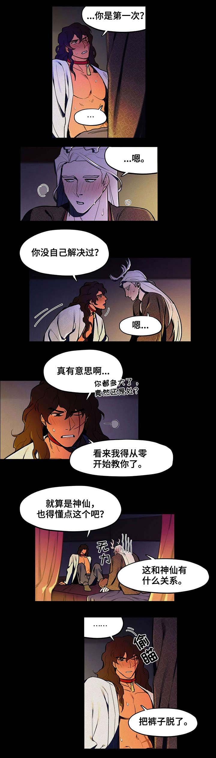 第15章：教