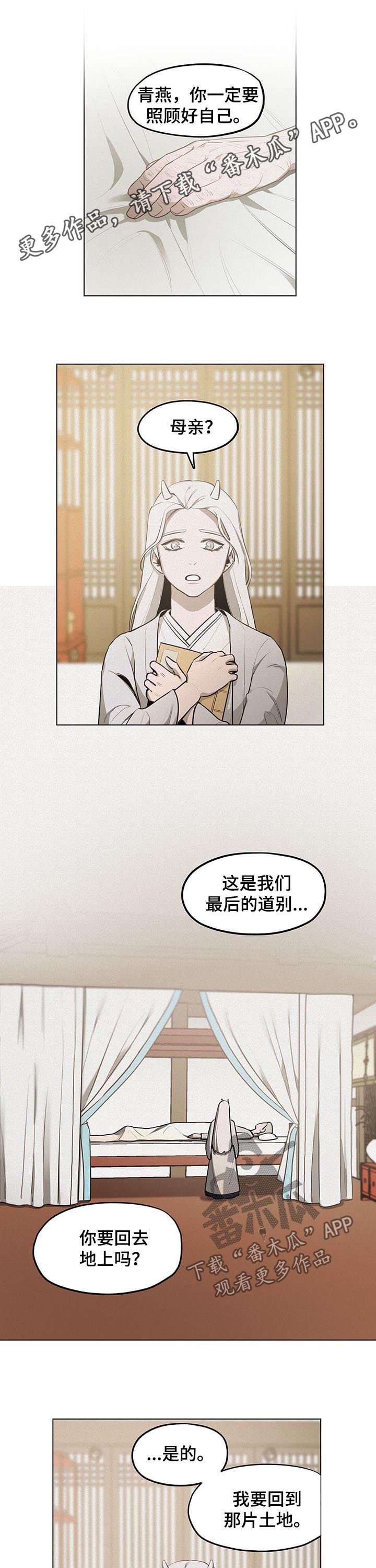 第33章：解决