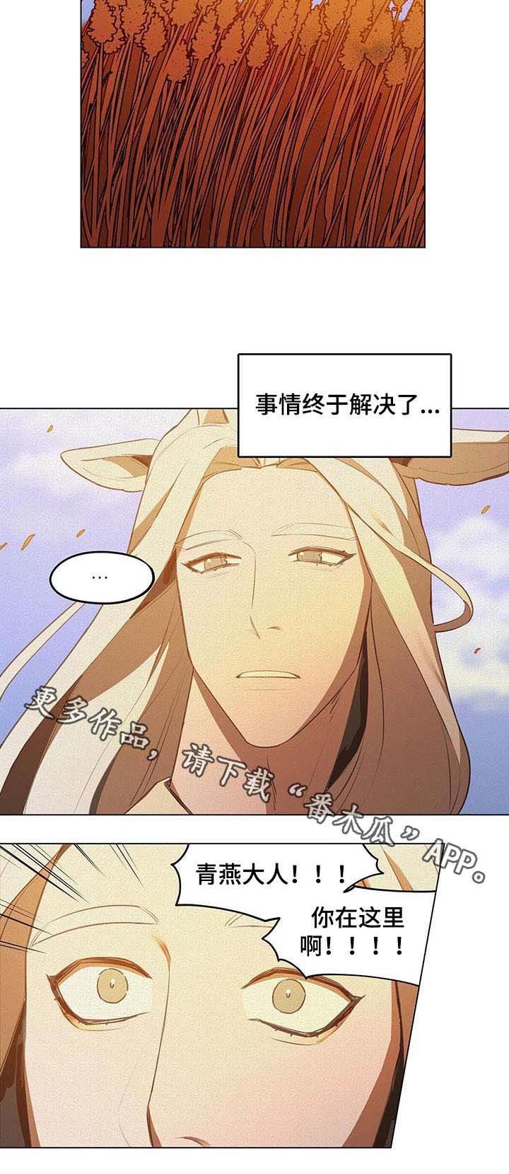 第33章：解决