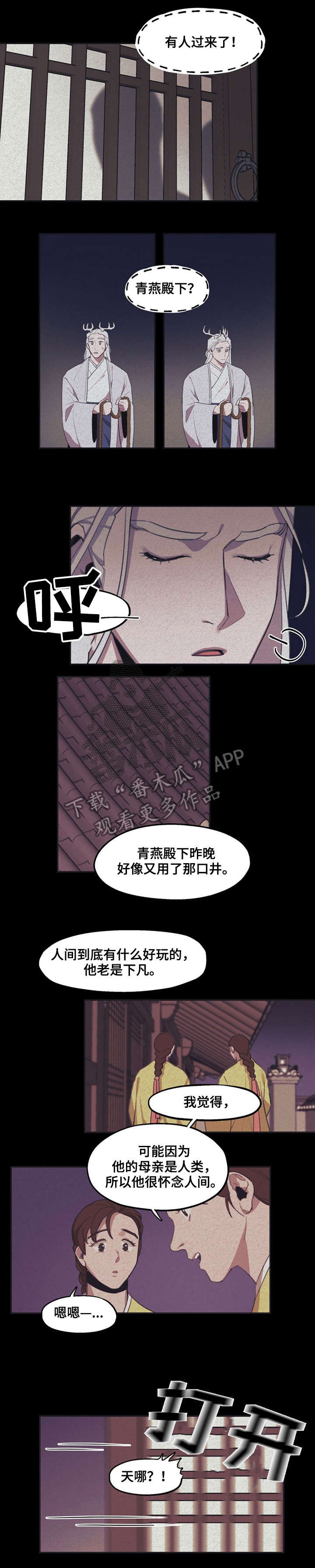 第8章：人类