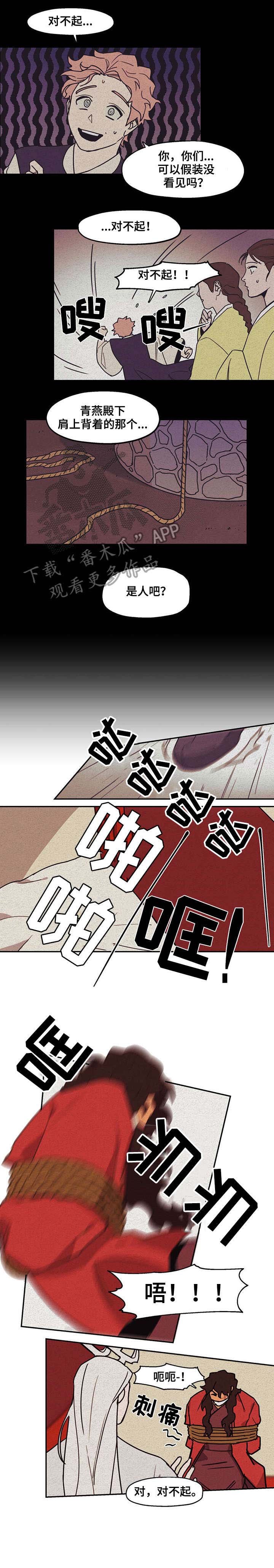 第8章：人类