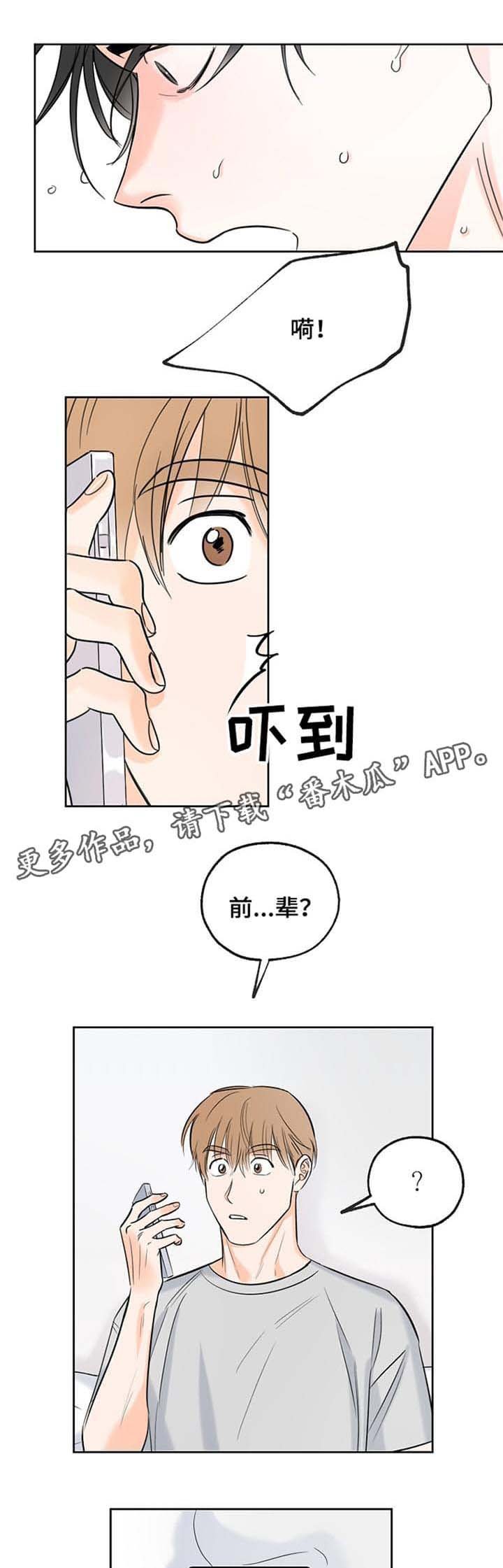 第13章：电话