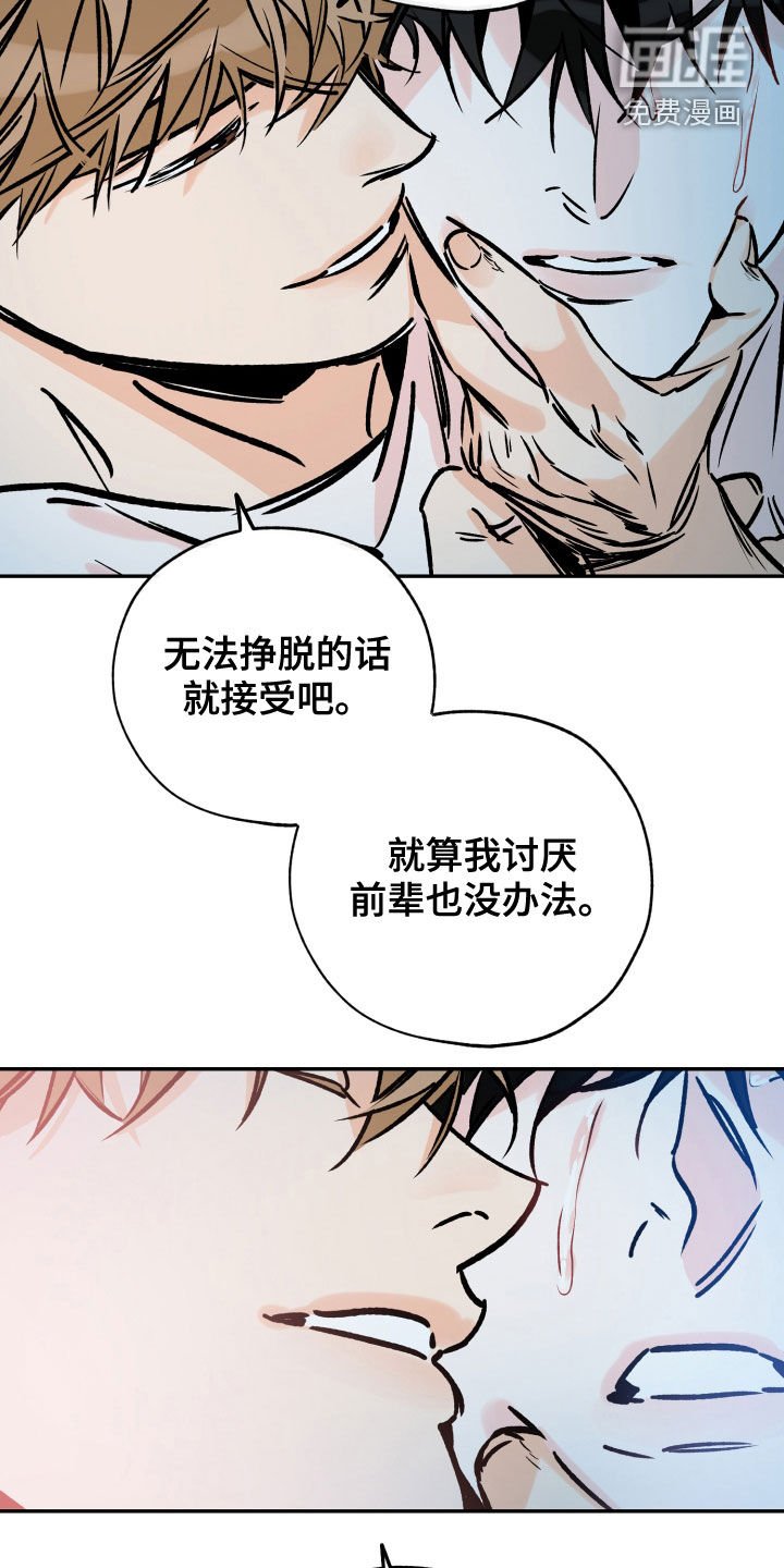 第142章：约好了
