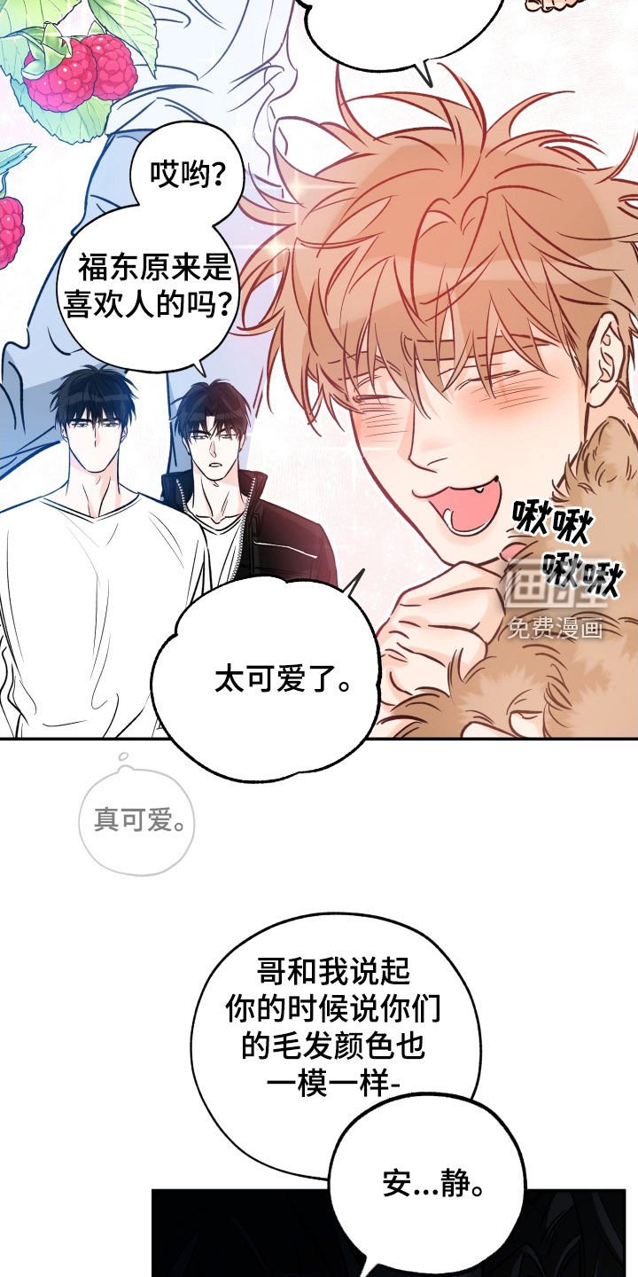 第156章：【番外】想亲他