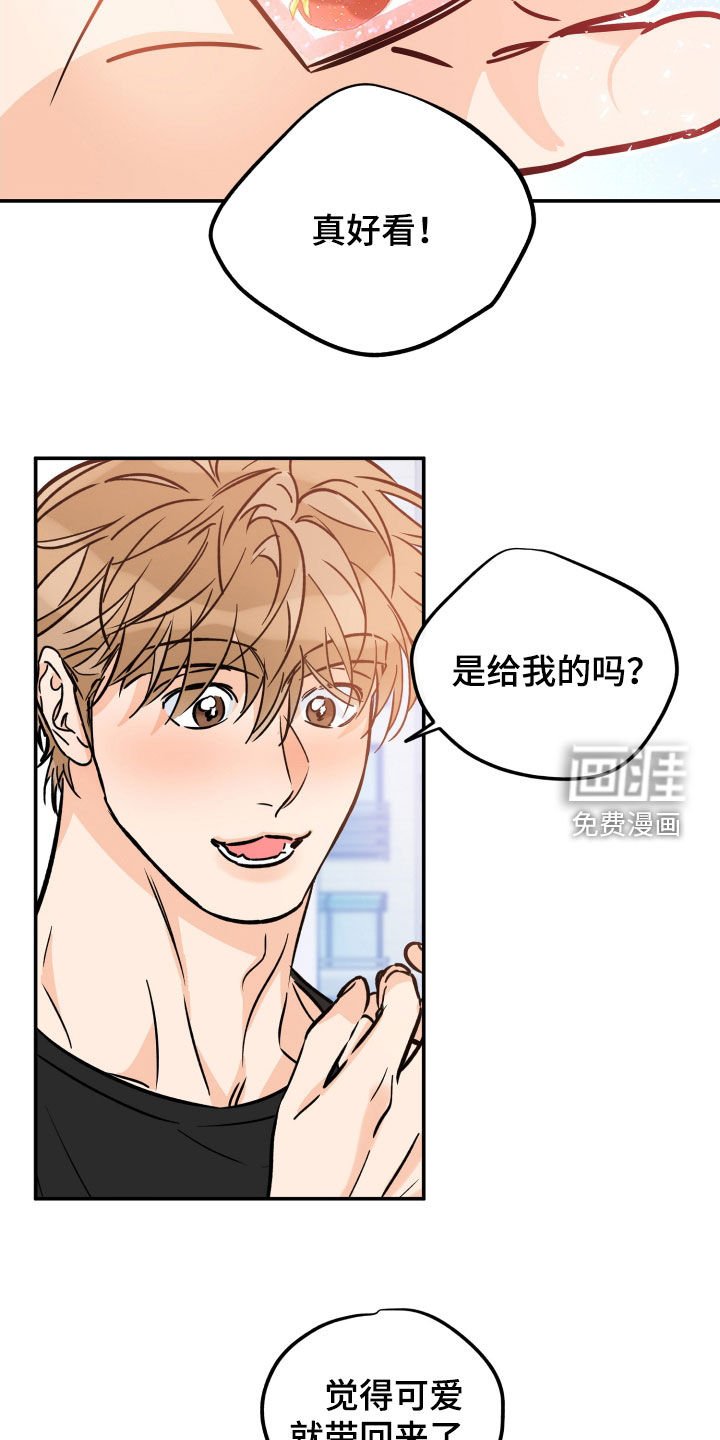 第160章：【番外】因为好看
