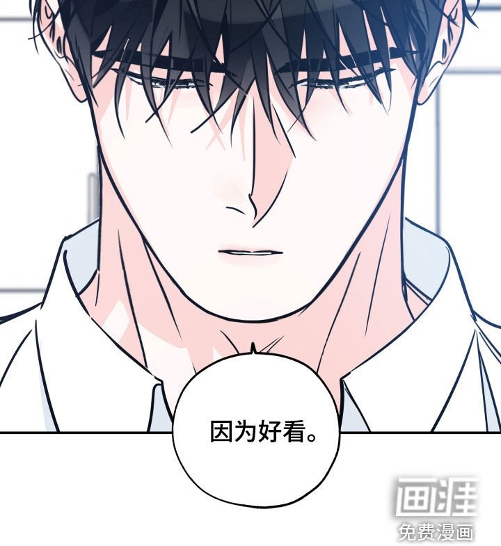第160章：【番外】因为好看