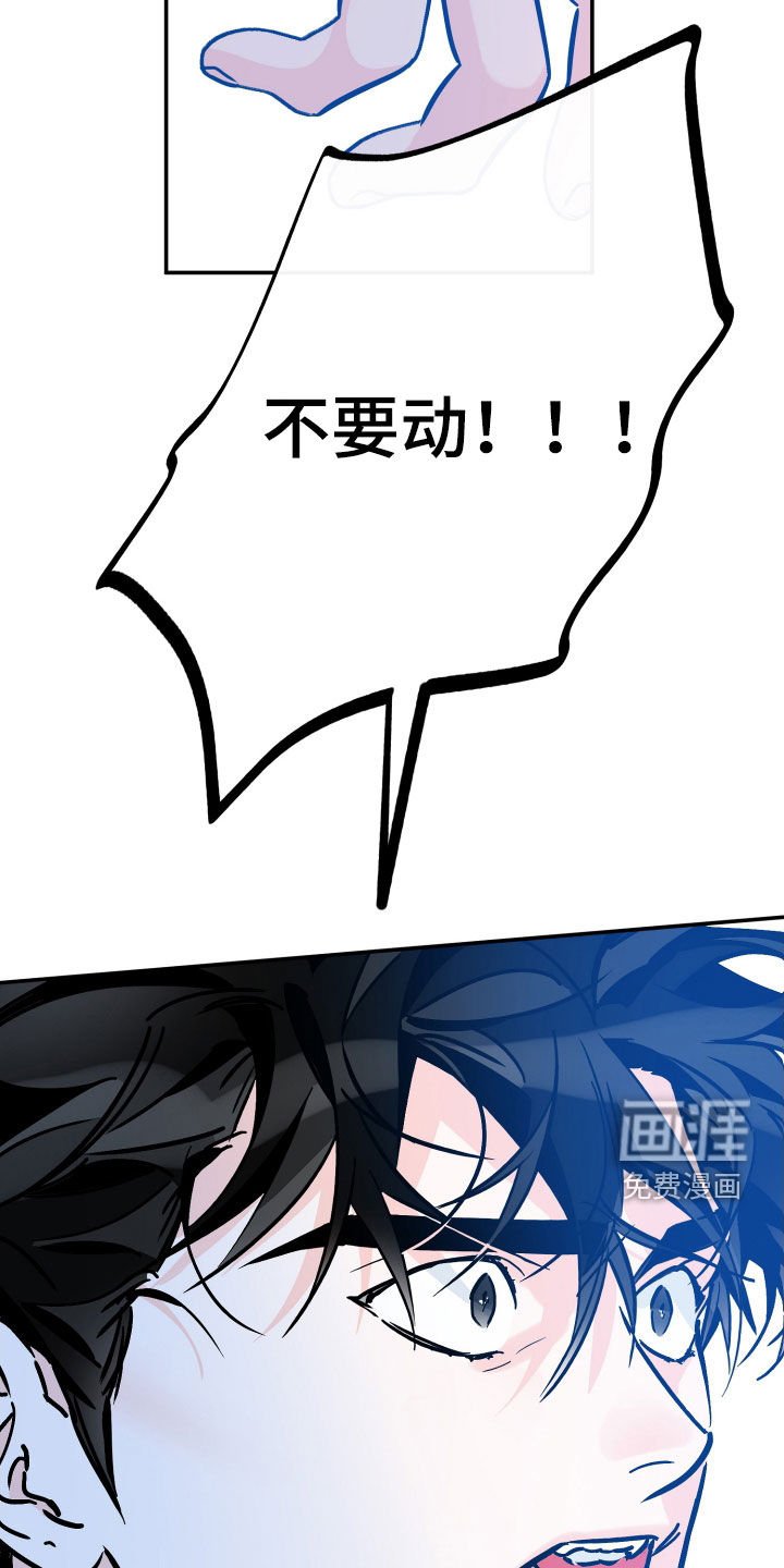 第161章：【番外】最好的告白