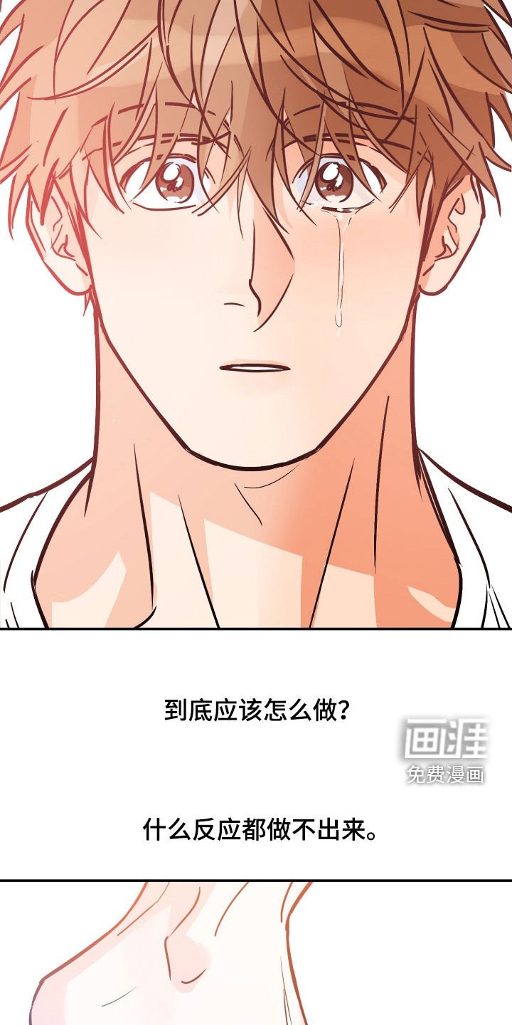 第161章：【番外】最好的告白