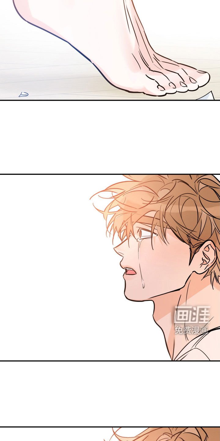 第161章：【番外】最好的告白