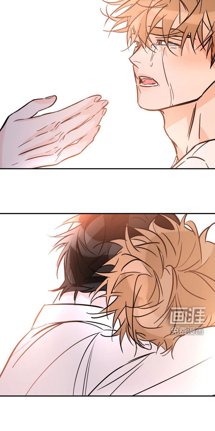 第161章：【番外】最好的告白
