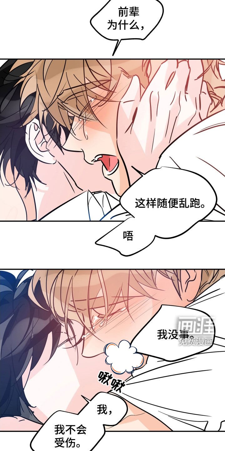 第161章：【番外】最好的告白