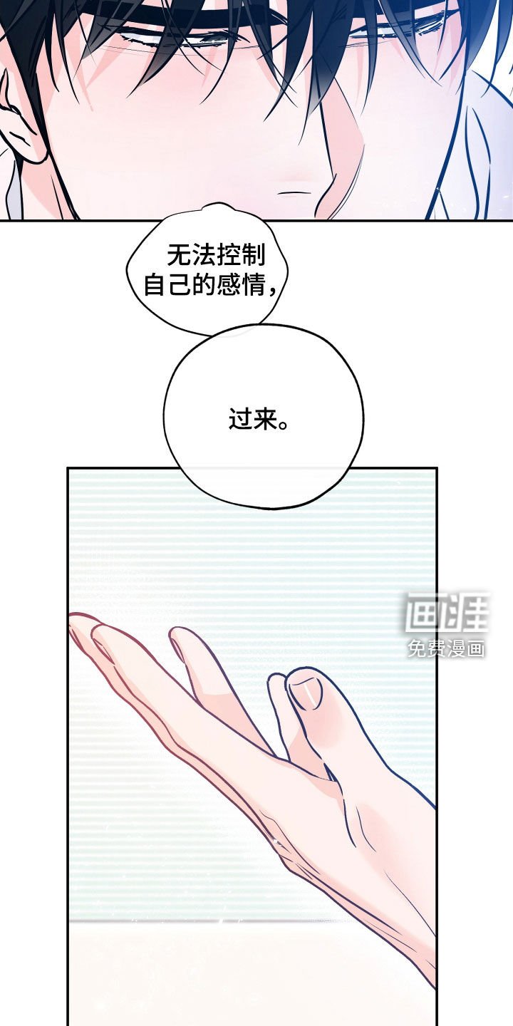 第162章：【番外】幸福