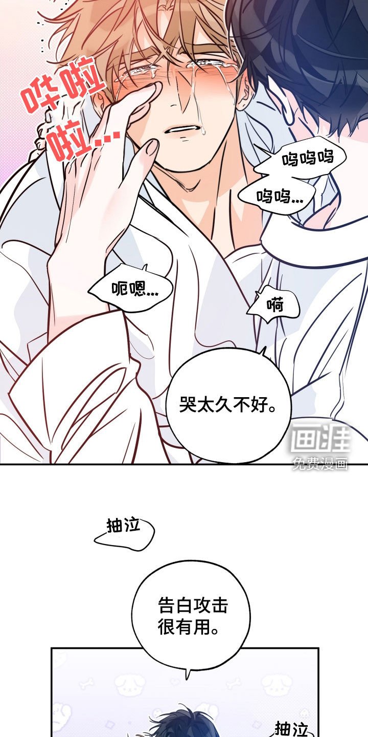 第162章：【番外】幸福