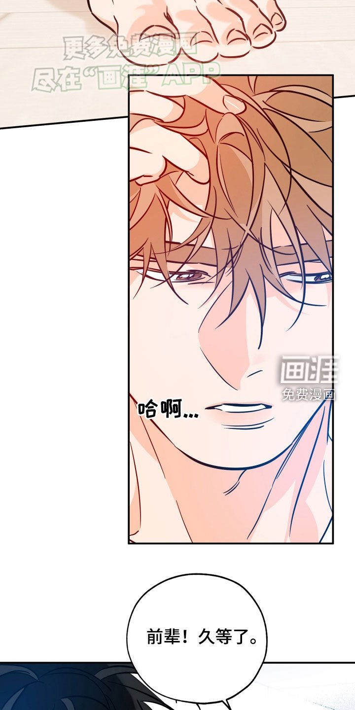 第172章：【番外】打扰