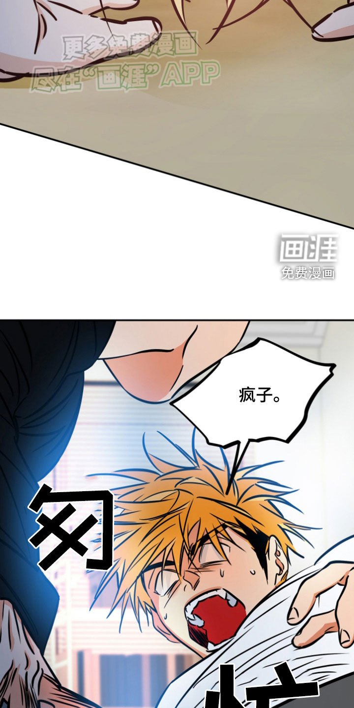 第183章：【番外】来真的