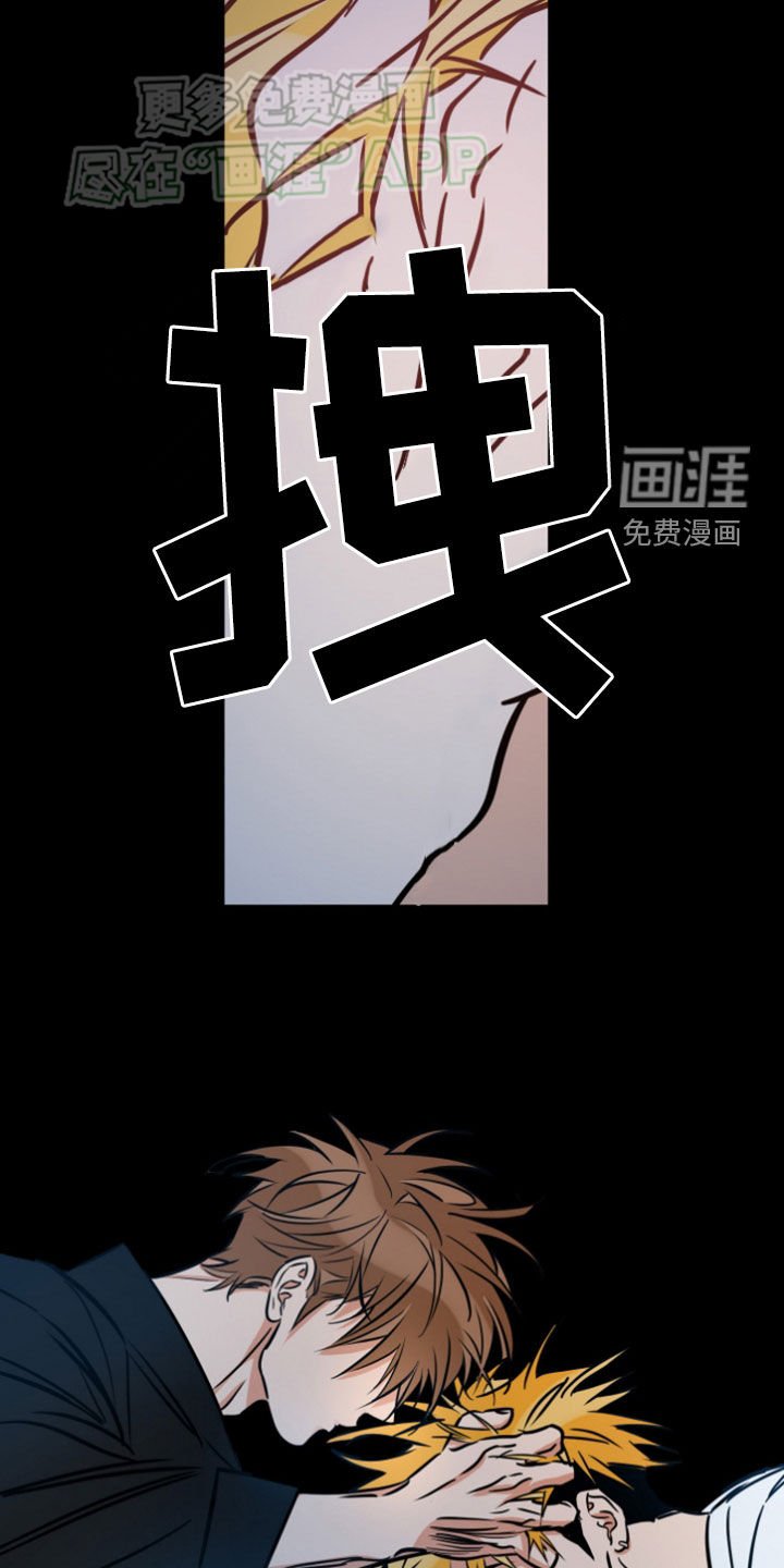 第183章：【番外】来真的