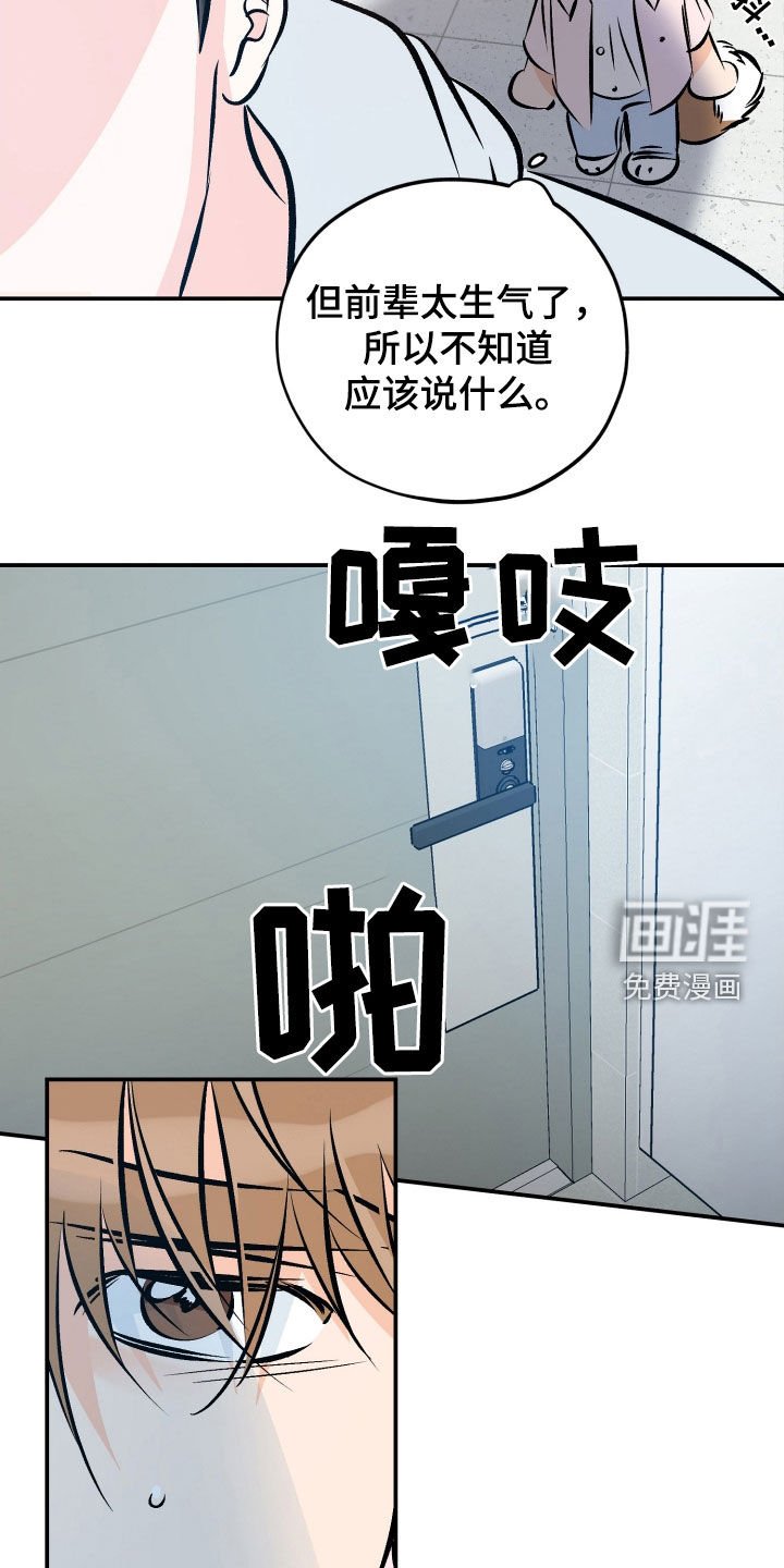 第195章：【番外】你是我的