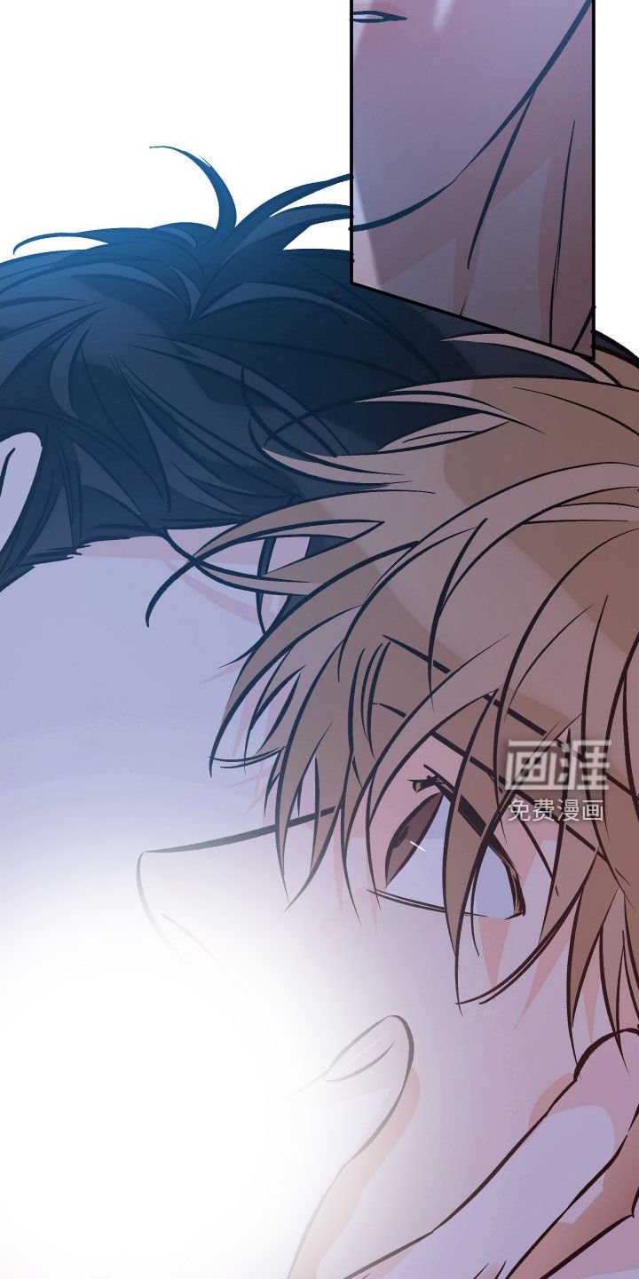 第195章：【番外】你是我的