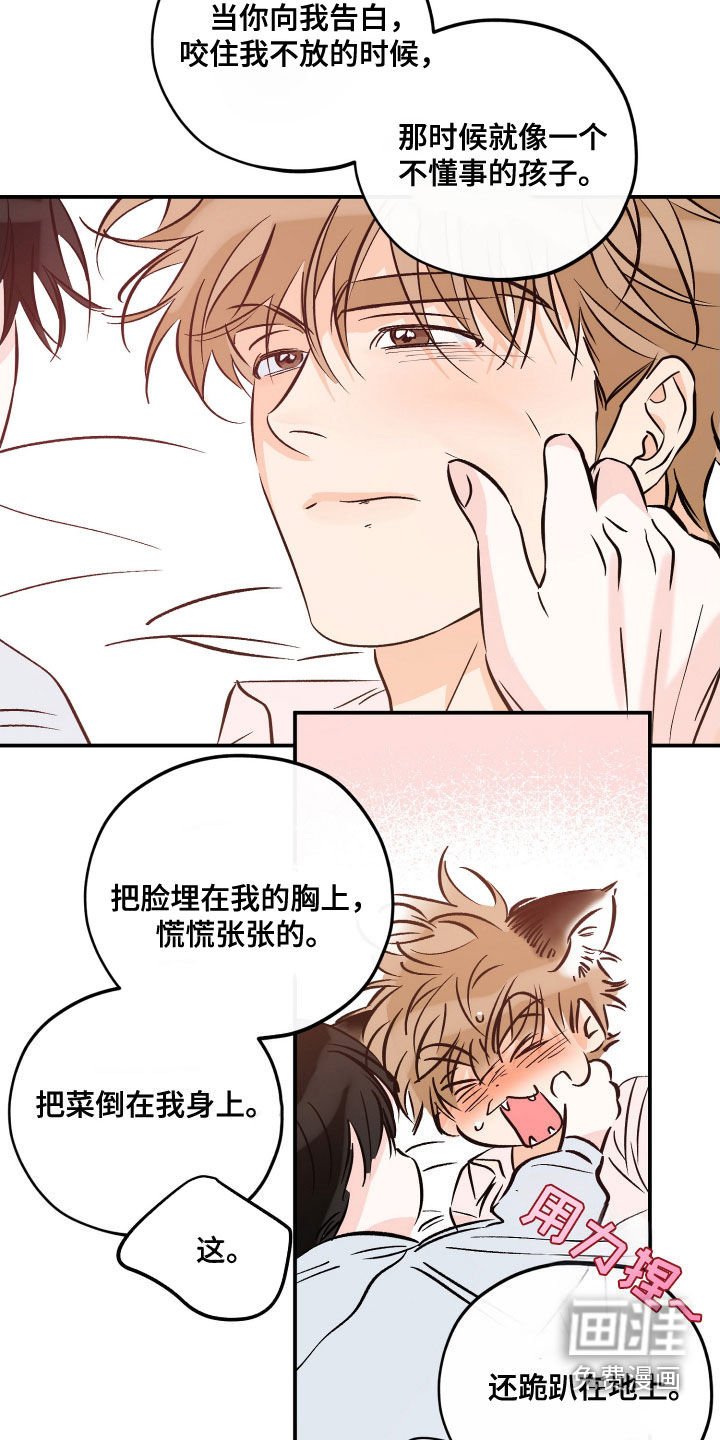第199章：【番外】小狐狸