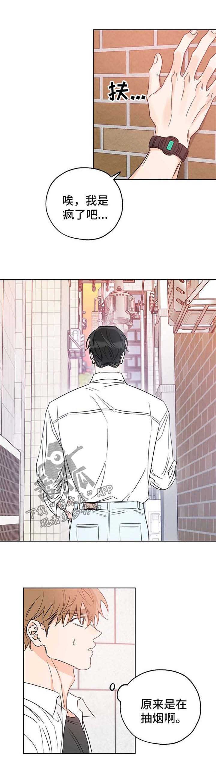 第31章：没什么期待