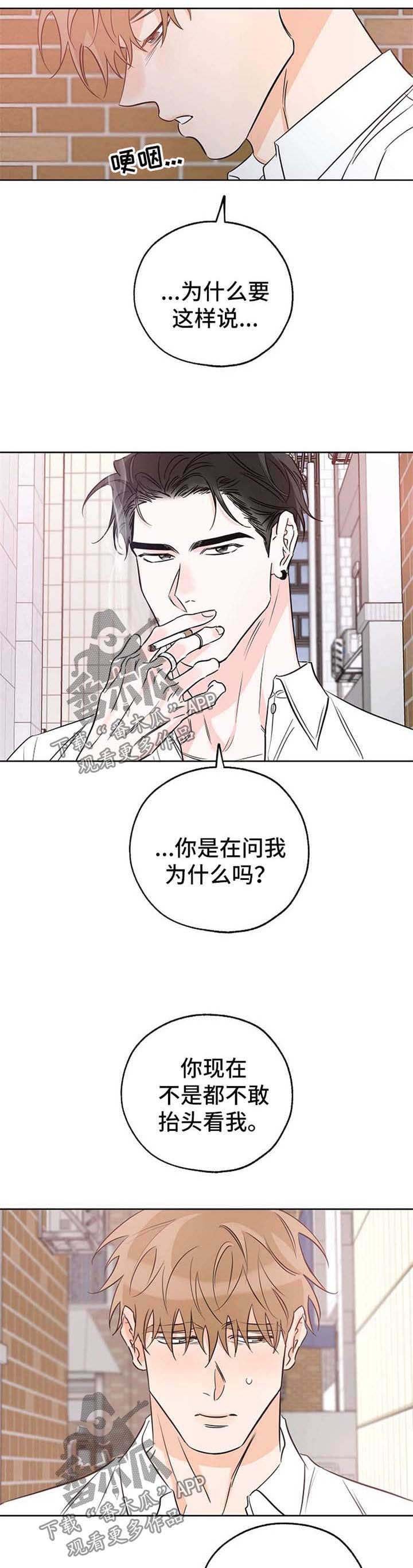 第31章：没什么期待