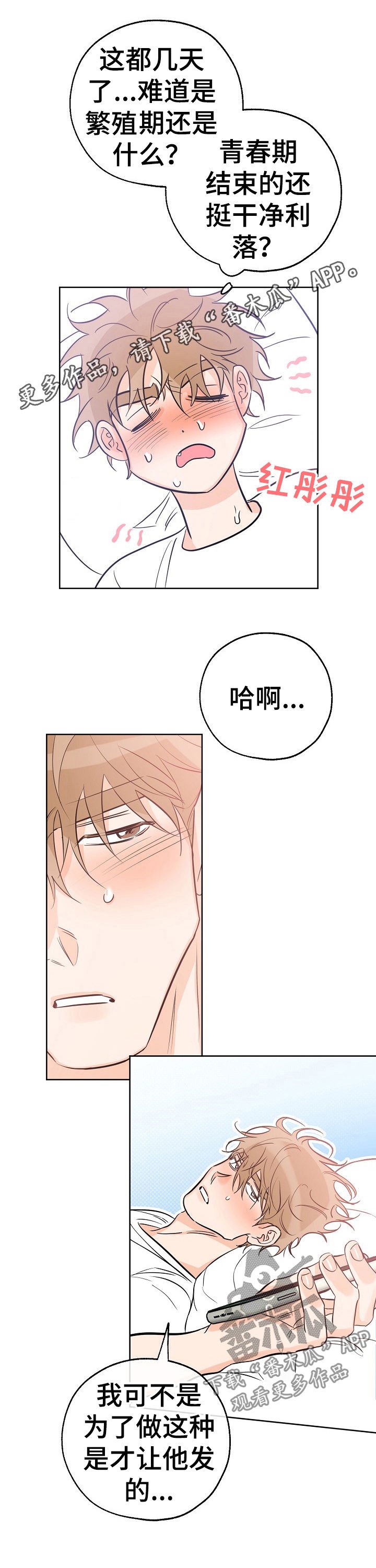 第53章：脑子一团乱