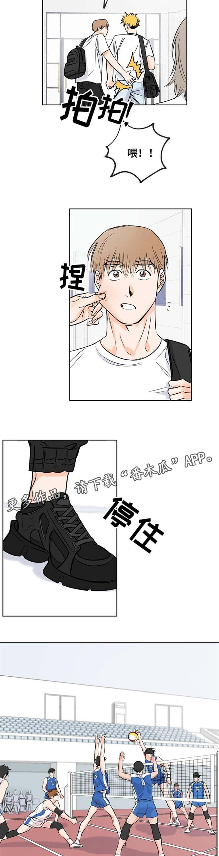 第8章：观看