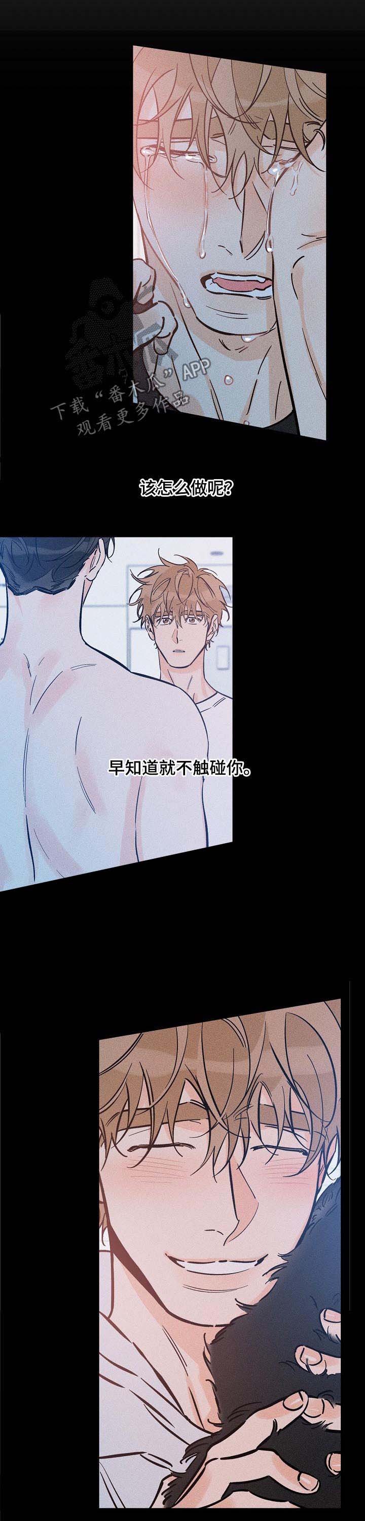 第82章：关系不明