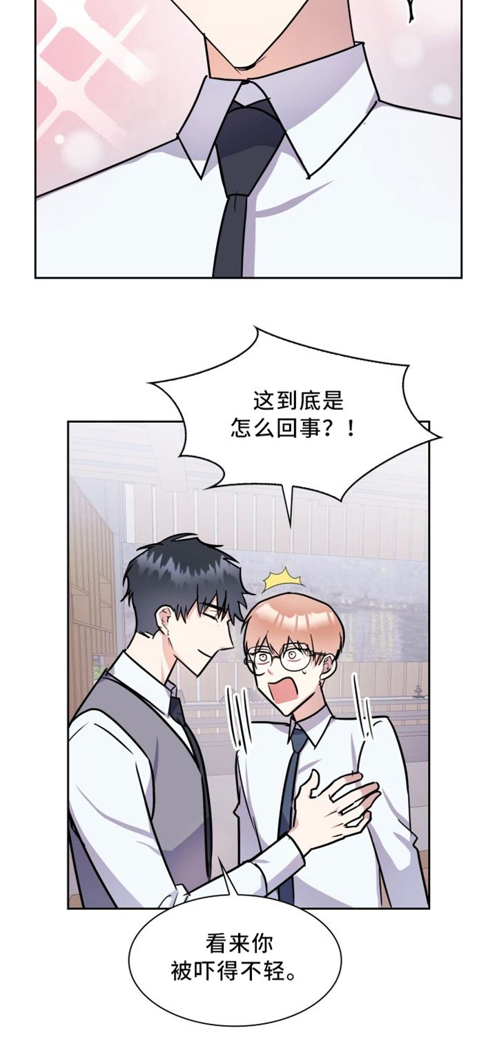 第38章：总裁上任