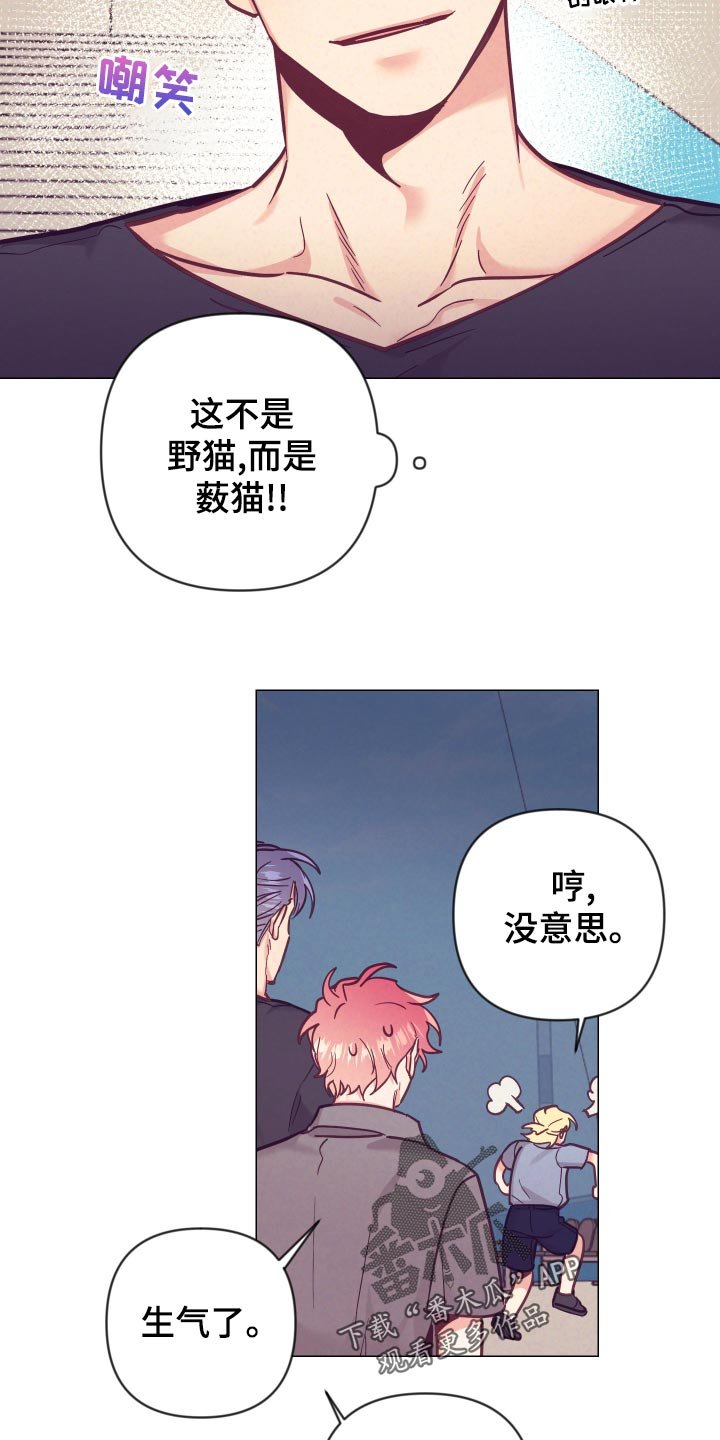 第100章：小野猫