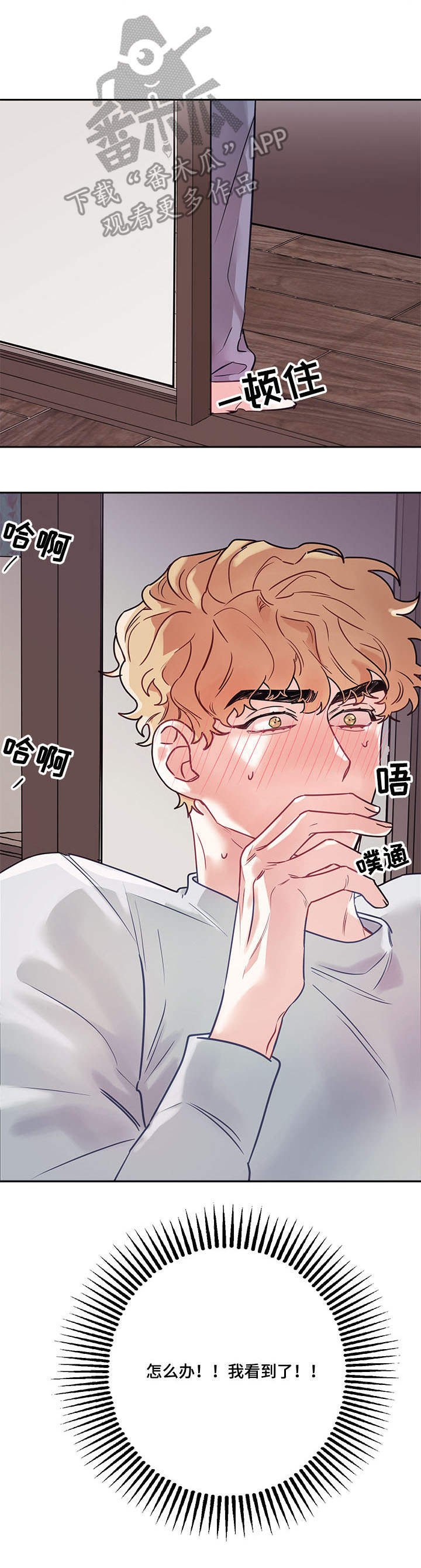 第11章：偷看