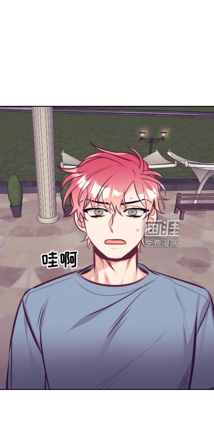 第114章：一见钟情