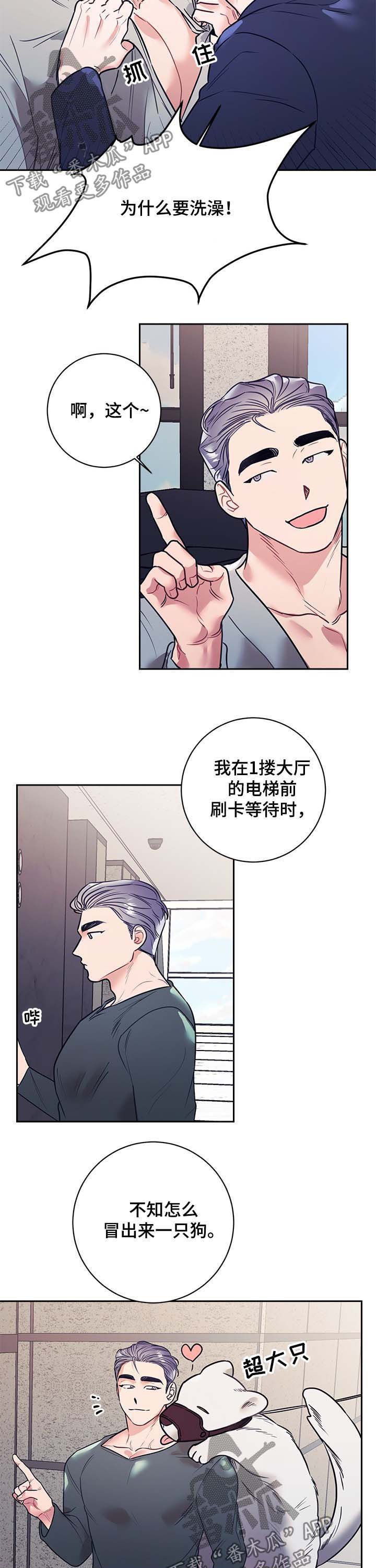 第18章：公主