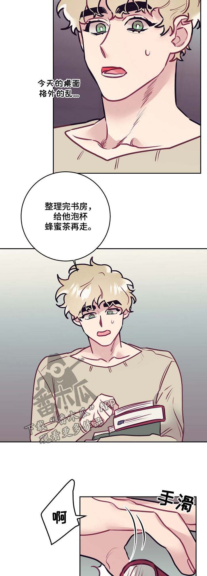 第31章：照片
