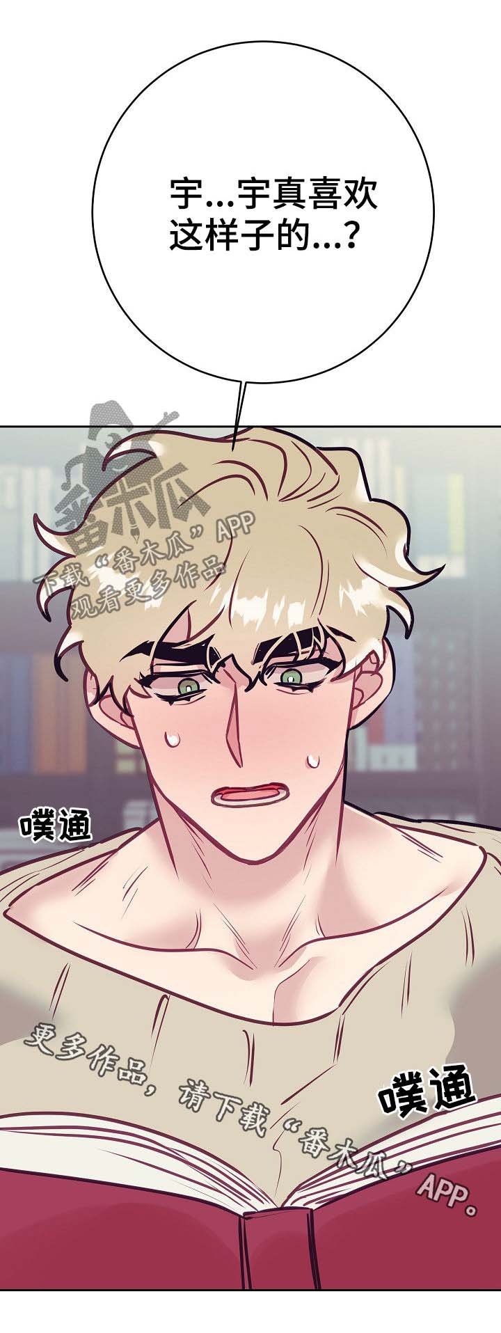 第31章：照片