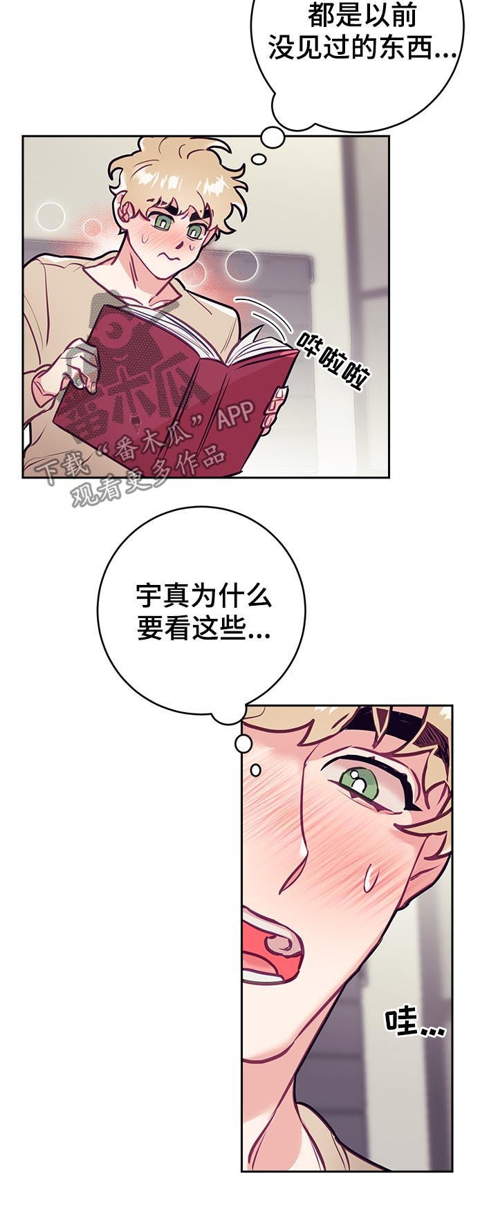 第32章：爱好