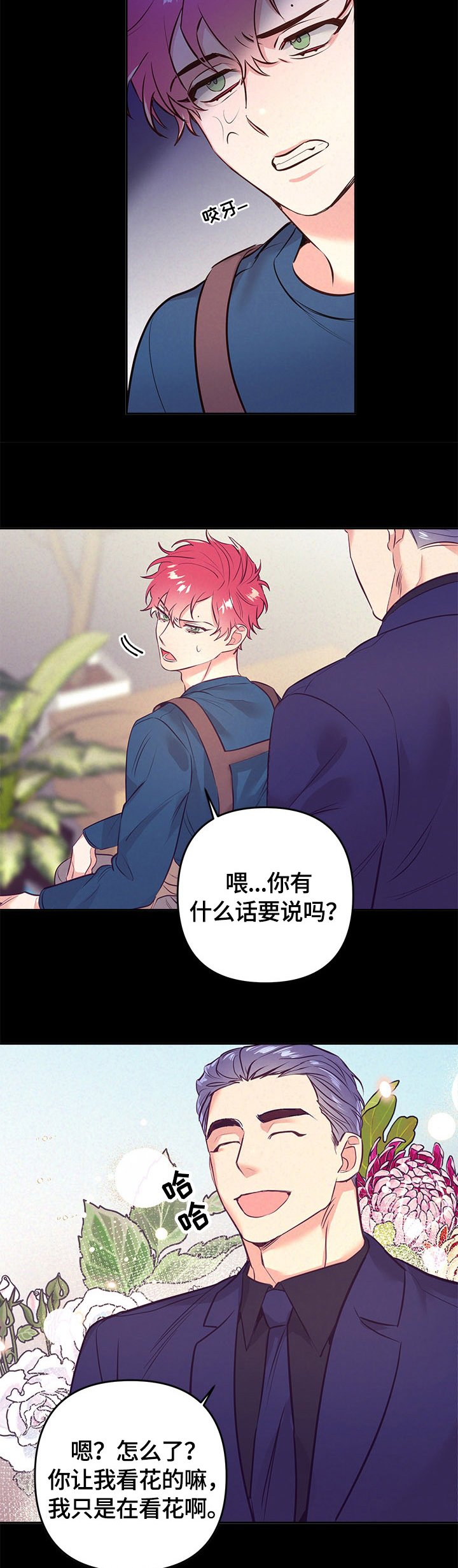 第53章：看花