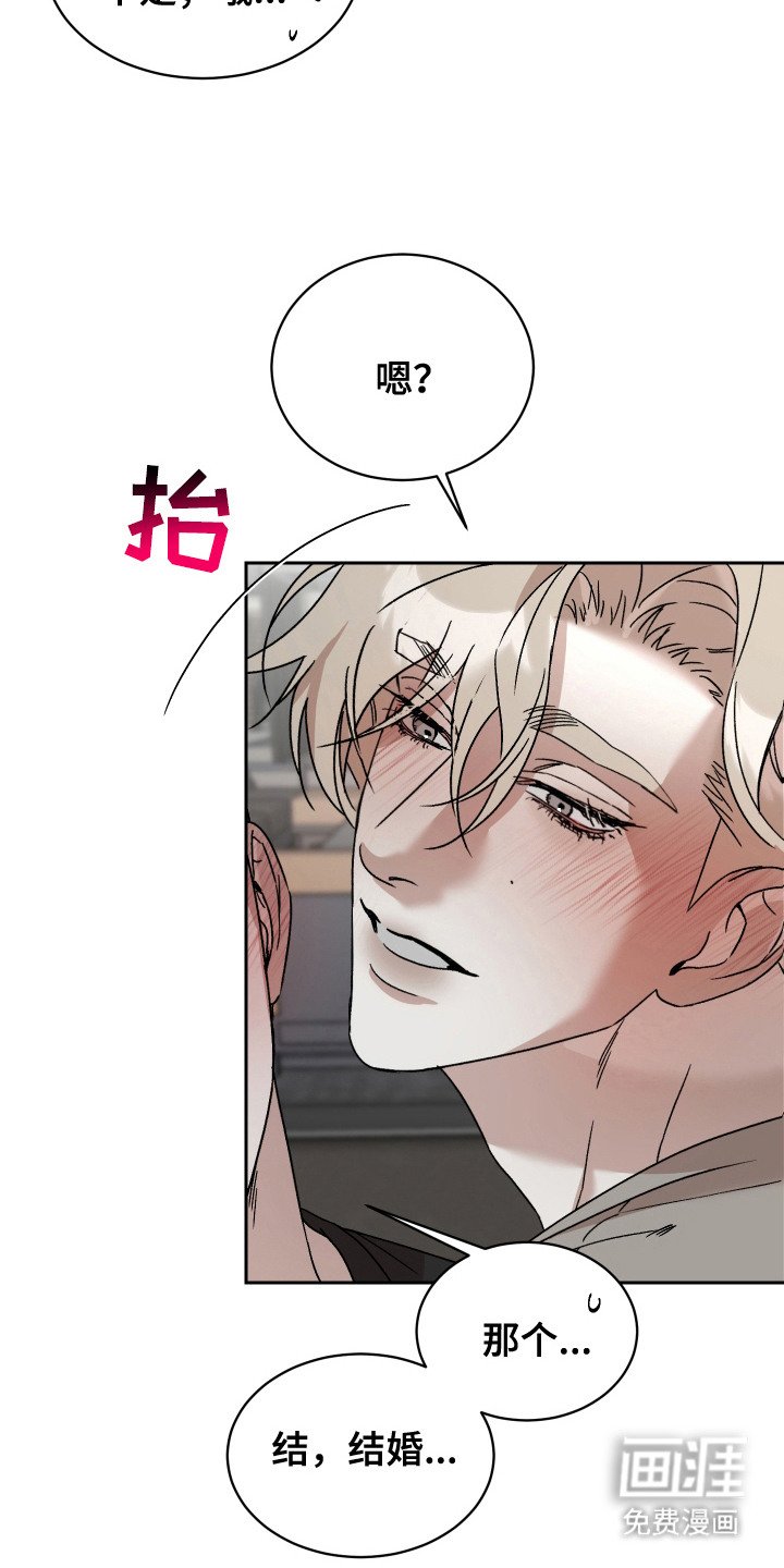 第15章：求婚（完结）