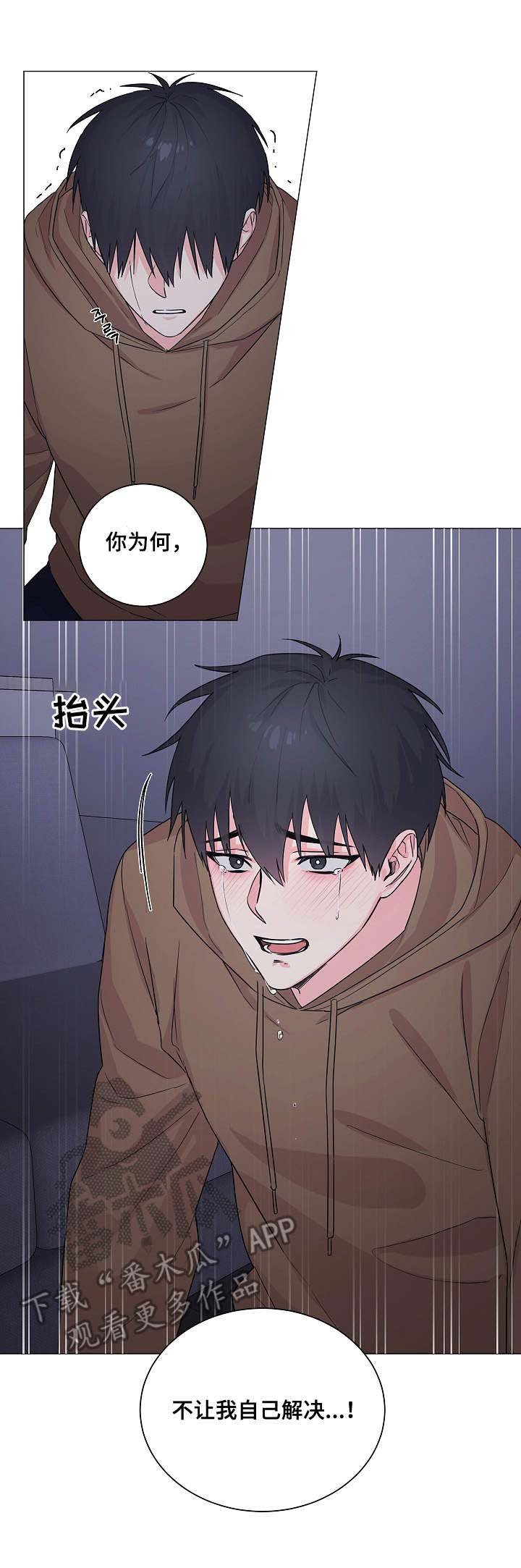 第10章：主动