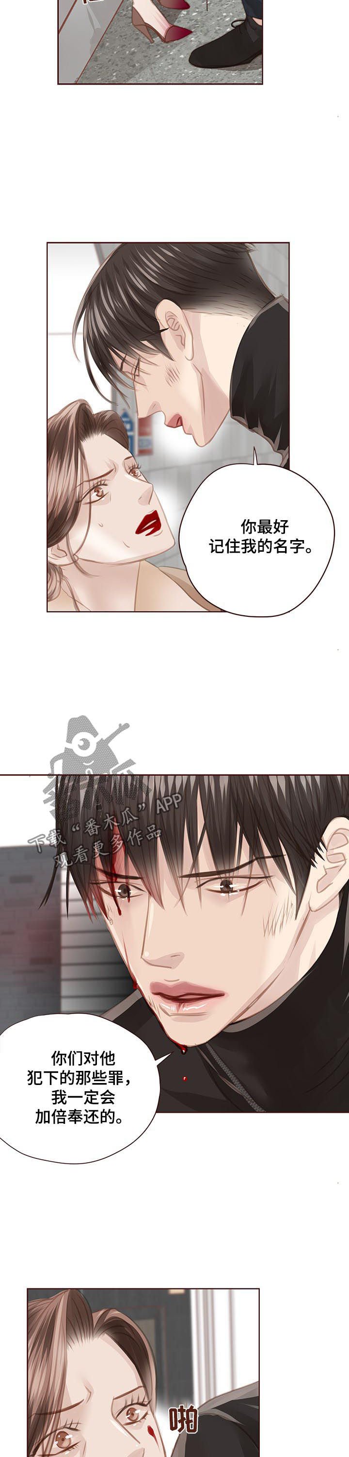 第117章：正面交锋