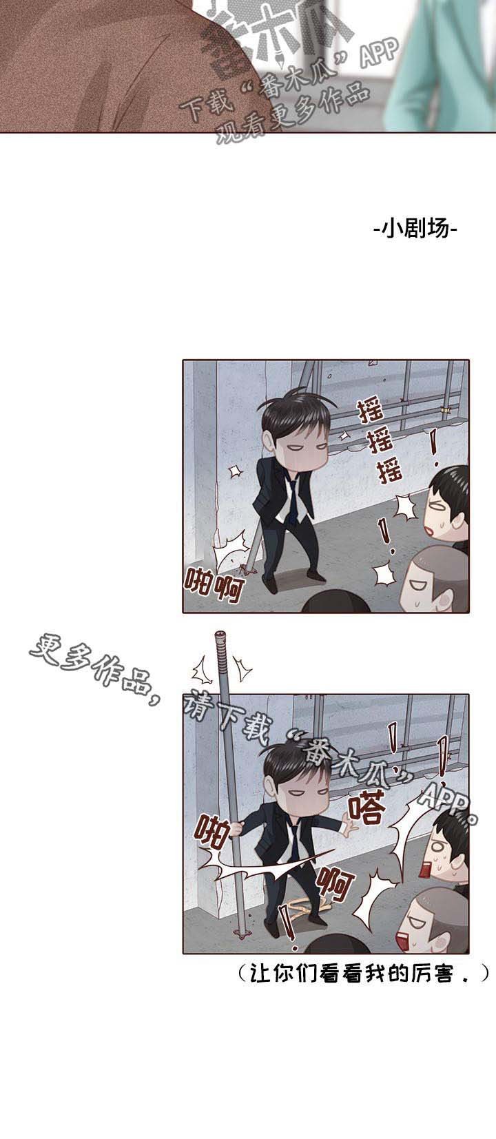 第117章：正面交锋