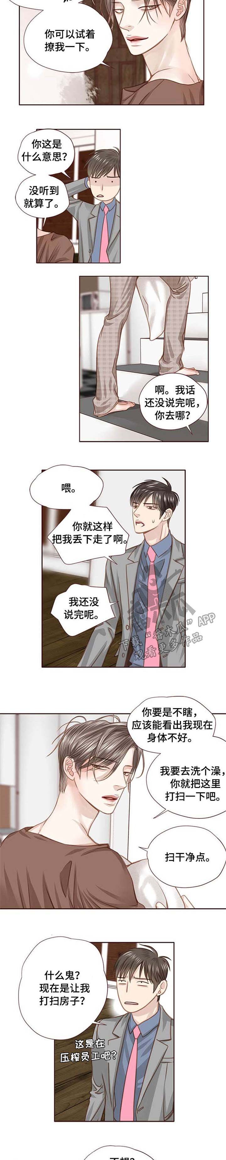 第29章：条件