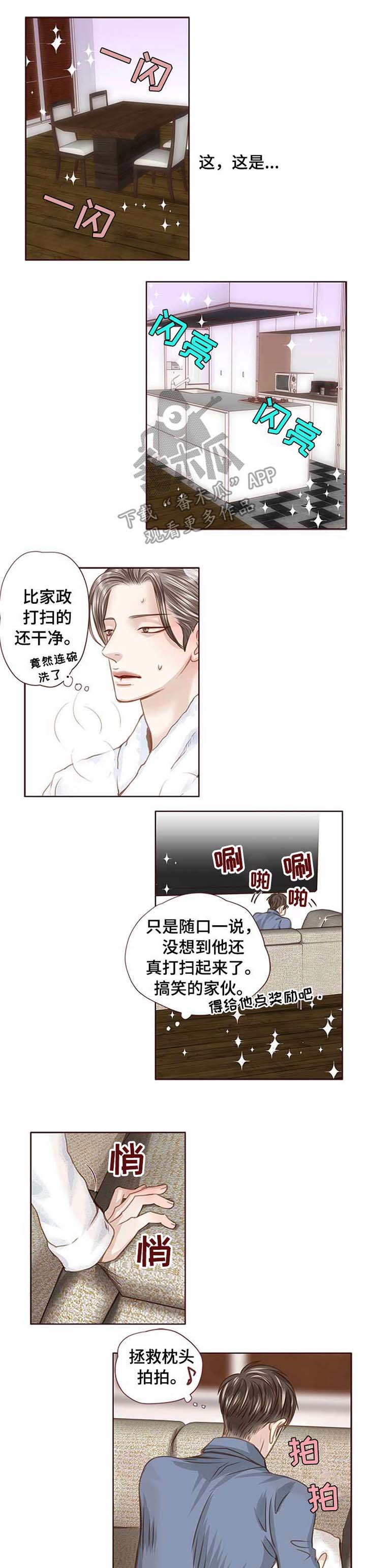 第29章：条件