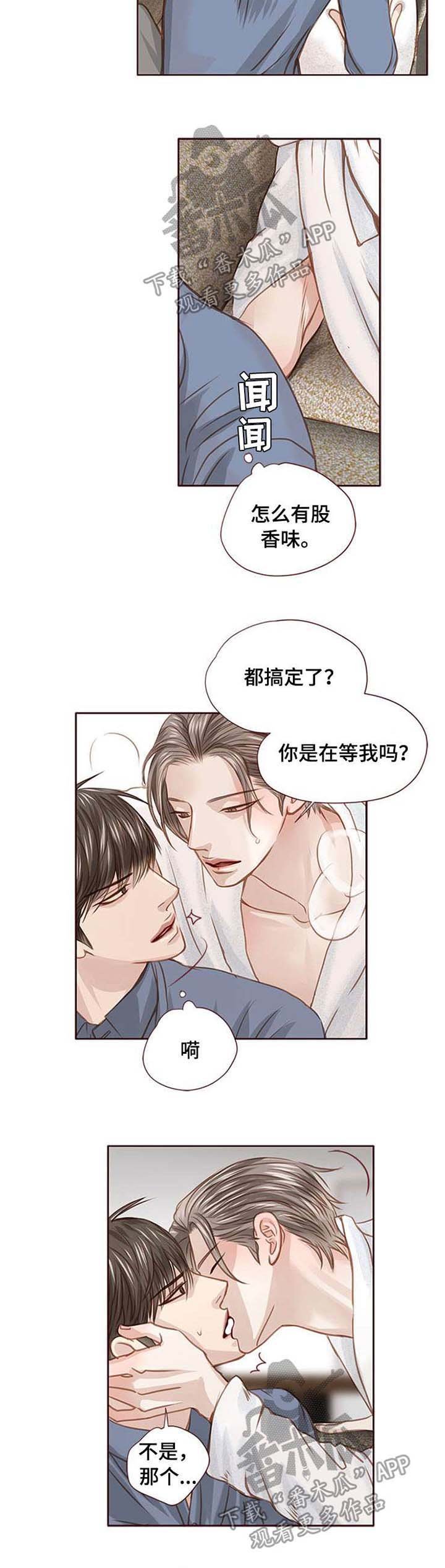 第29章：条件