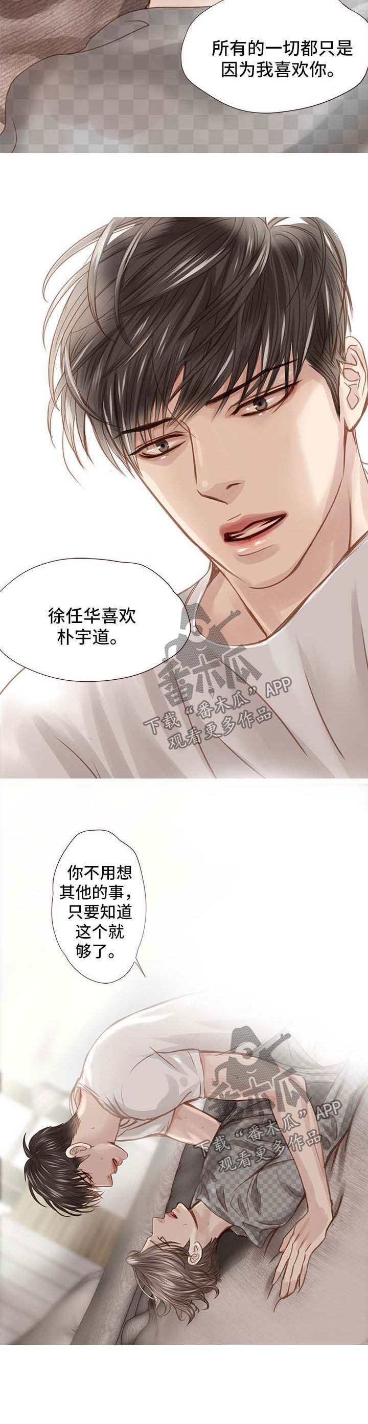 第37章：只是因为喜欢你