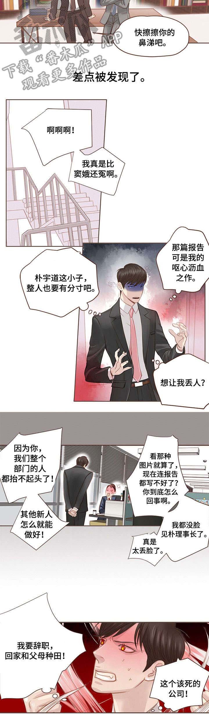 第4章：实话实说