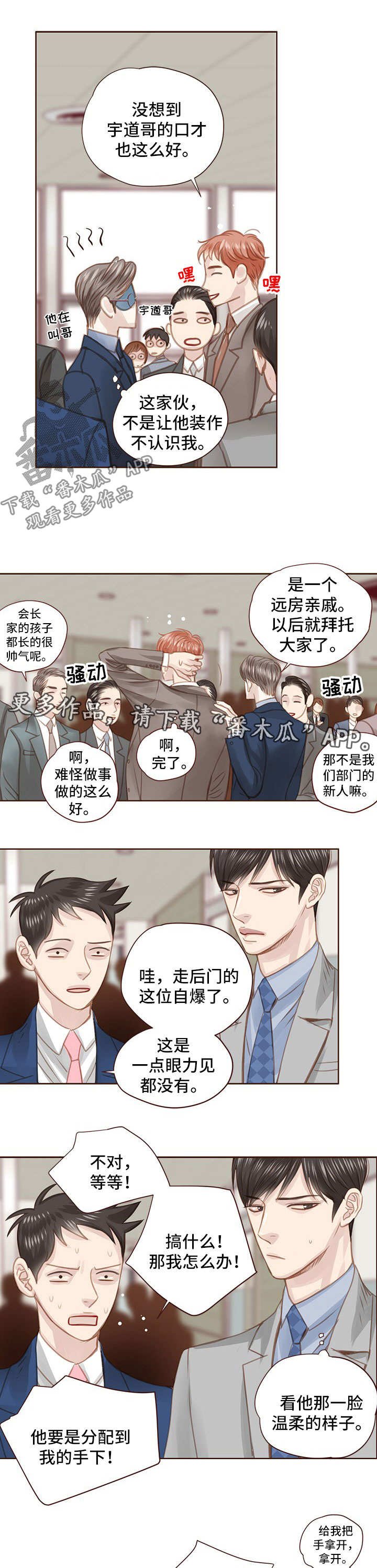 第49章：三角恋